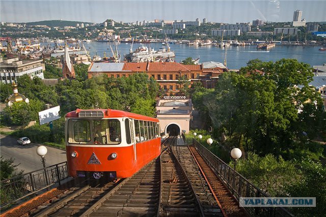 Тамбовский волк тебе товарищ...