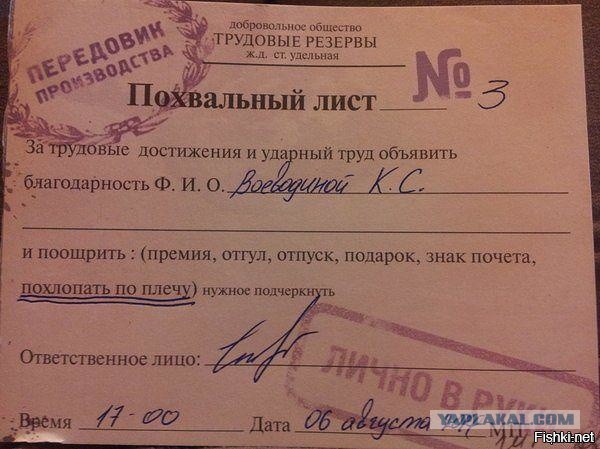 Забавные картинки из сети