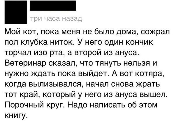 Мракобесие в скринах - 9