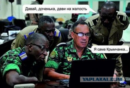 ЯП в Вести недели