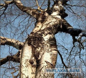 Чудеса природы (18+)