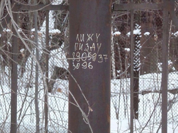 Ужасы и приколы из соцсетей 18+