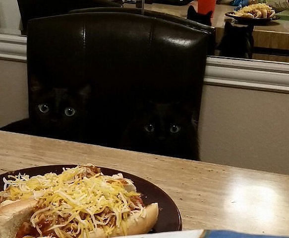 Котэподборка