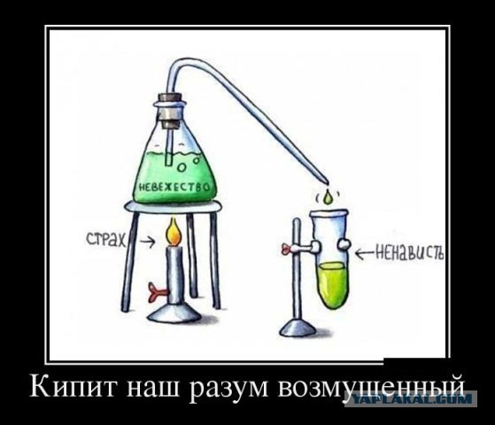 Плюшкиным посвящается