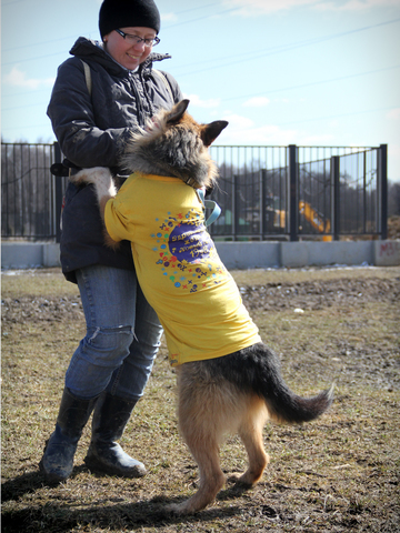 Приют для бездомных собак в г.Москве (ЮЗАО)