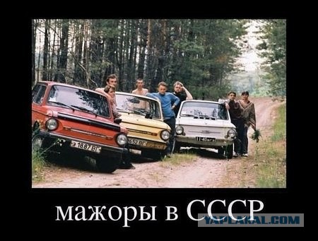 Картинки и демотиваторы