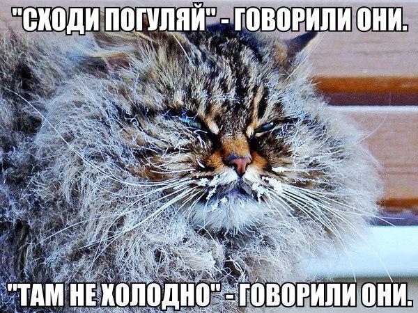 Подборка прикольных картинок