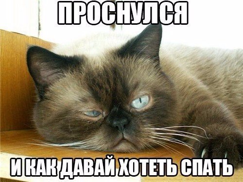 Подборка Картинок из сети