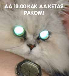 Уже да :) Ужо пятнецца...