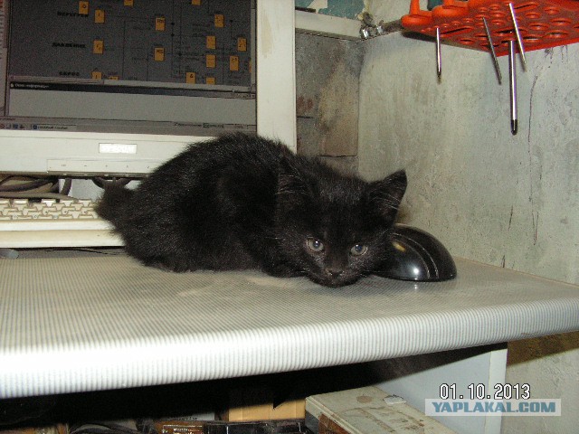 Те, которым мы помогли.