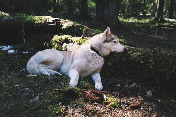 Подборка картинок 29.03.16