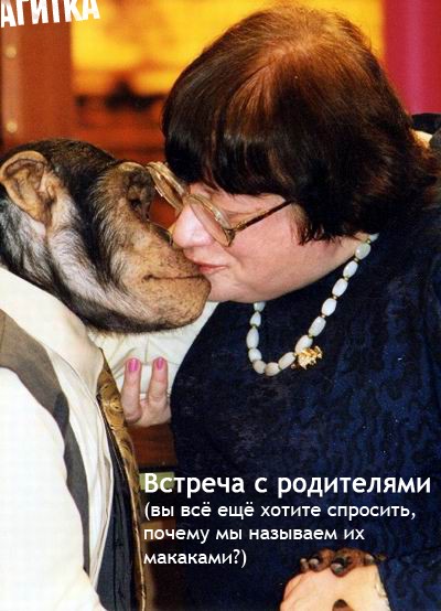 ПОЛИТИКА. Приколы над политиками, выборы и т.п.