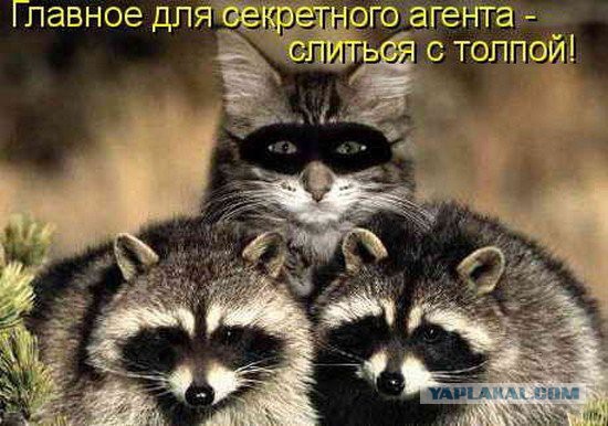 Подборка картинок