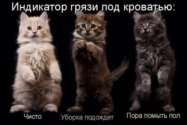 Подборка любопытных фотографий со всего света