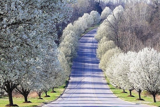Картинки для отдыха глаз