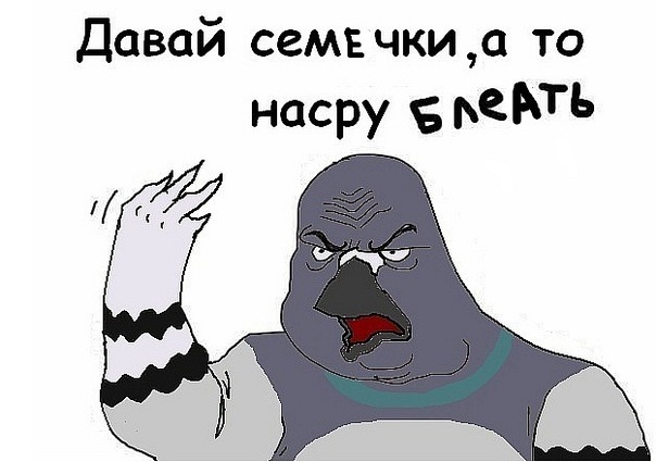 Будь мужиком. Return.
