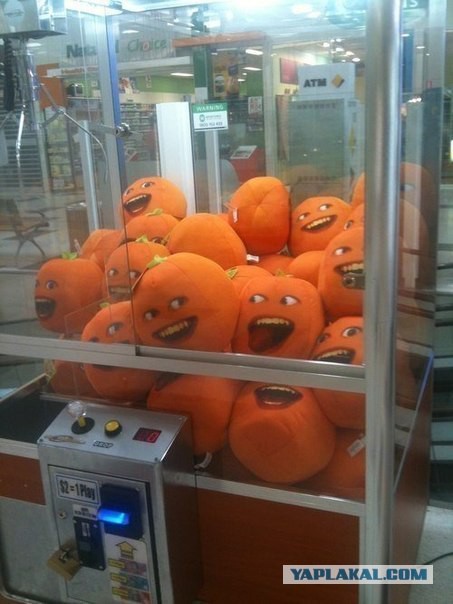 Когда жена в доме тиран