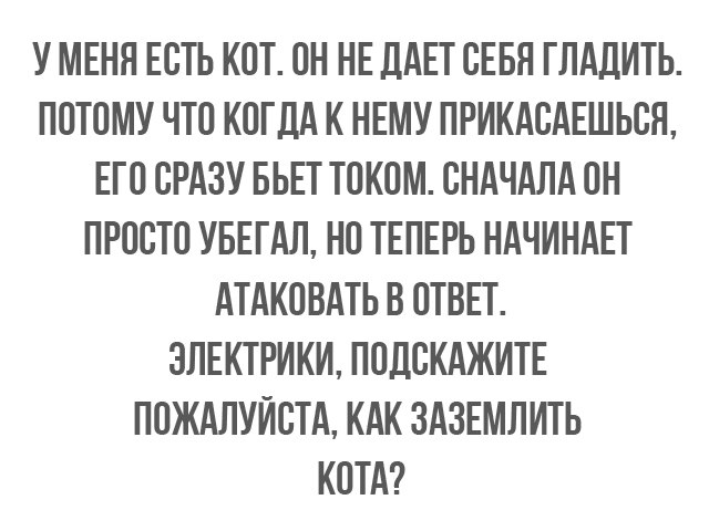 Чёрным по белому. Порция перлов и высказываний на воскресенье