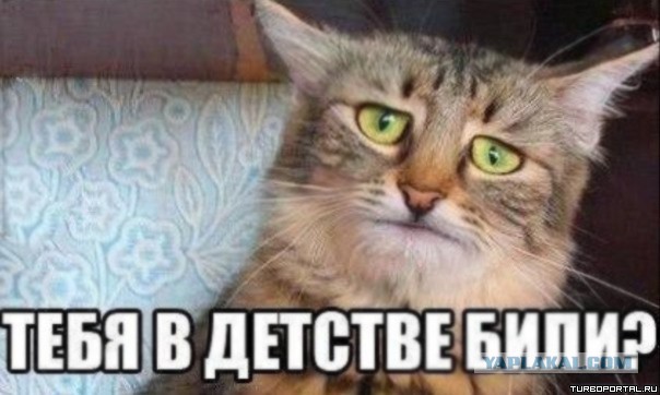 Культура изнасилования. Есть или нет?