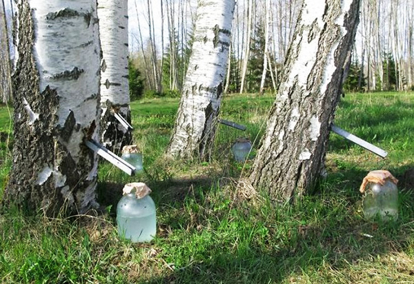 Немного странных картинок.