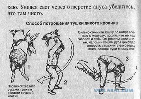 Мало ли пригодится кому