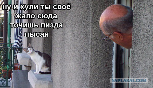 "Слегка" чёрный и абсурдный юморок
