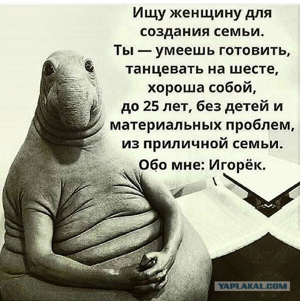 Давно мы не мизантропизировали...
