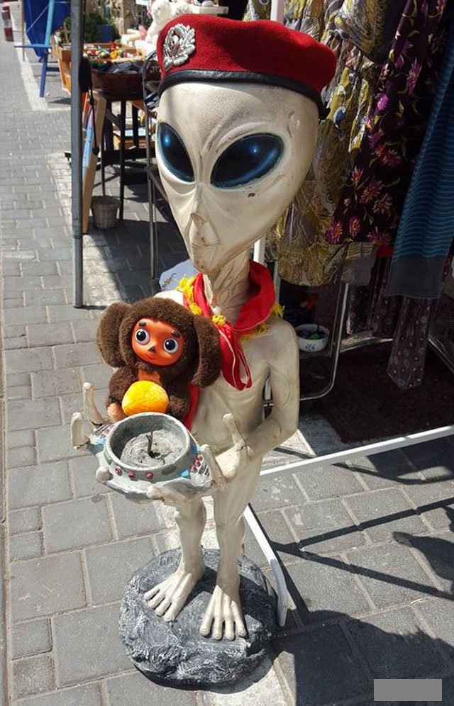 Просто юмор 23