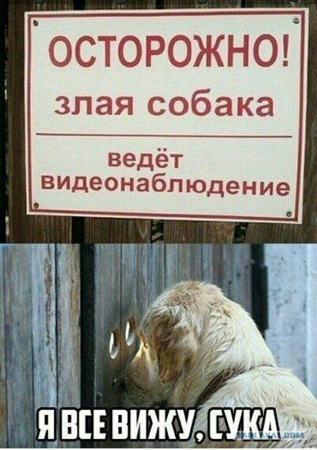Немного разных картинок