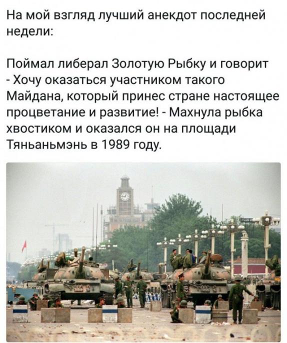 Ведущая ответила критикам после слов о голосовавших россиянах-приматах