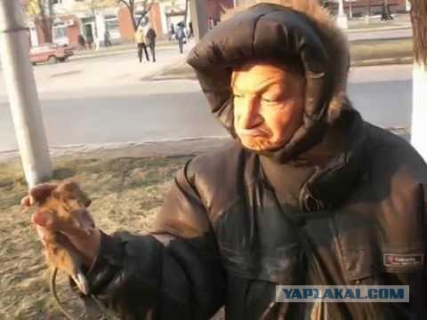 Ученые нашли способ победить алкоголизм