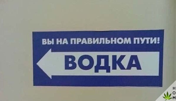 Прикольные надписи и объявления