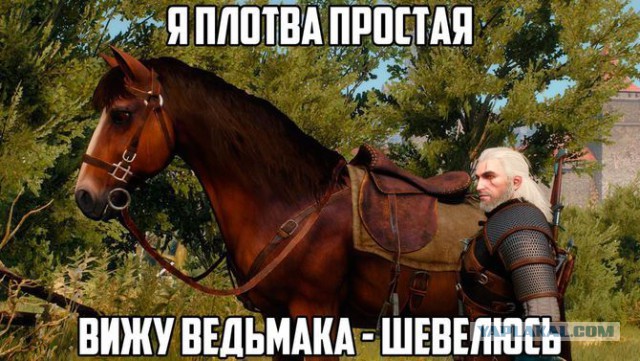 Перед рывком