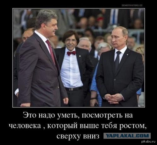 Если бы это было полотно художника, а не фото, то оно называлось бы - "Гномы на страже родины"