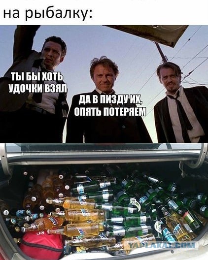 Бросай политоту, картинок завезли!