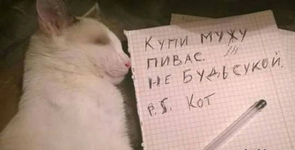 Алкопост на вечер этой пятницы