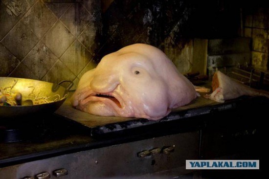 Неведомая хня