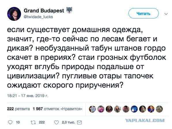 Прикольные комментарии и высказывания из Сети 23. 01.