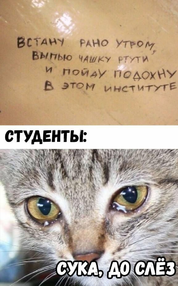 Немного картинок в эту субботу