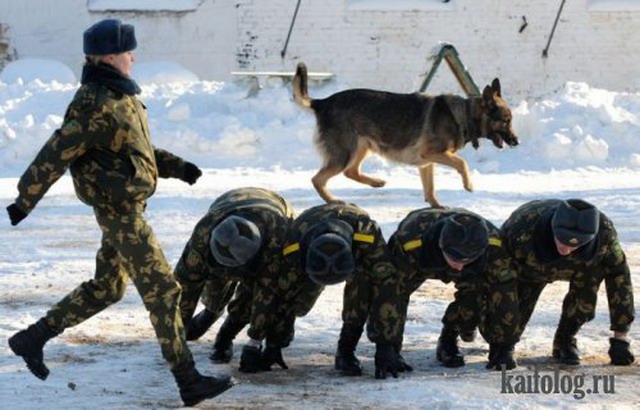 Уважаемые наши мужчины, поздравляю Вас с 23 февраля.