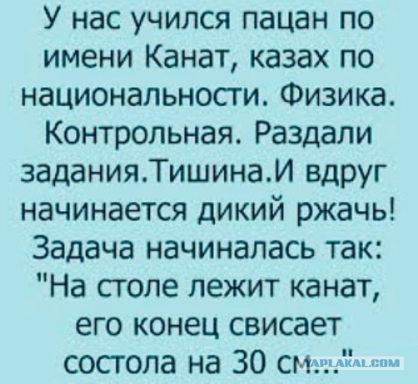 Немного веселых картинок про этих