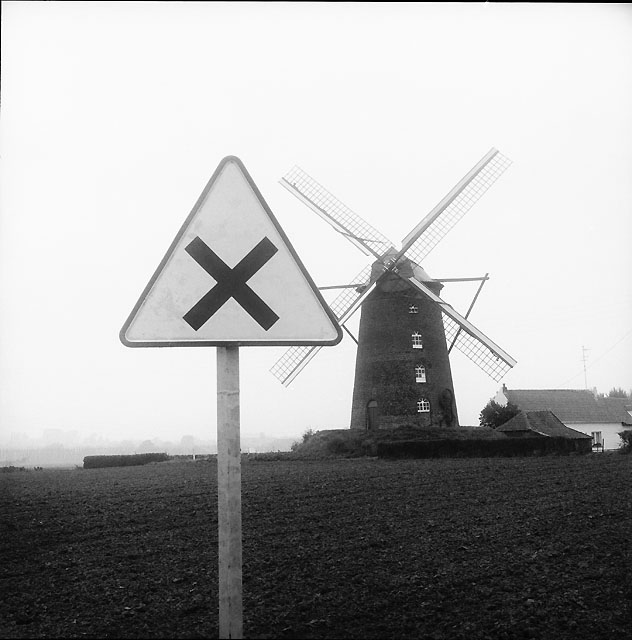 Милый юмор от фотографа Rene Maltete.