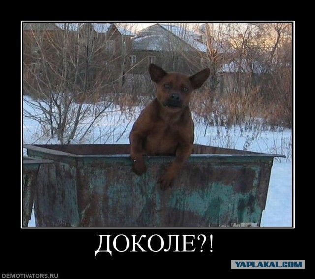 Началось!..