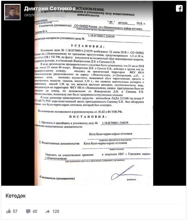 В Туле задержан кот-наркокурьер: зеки научили его носить наркотики в колонию
