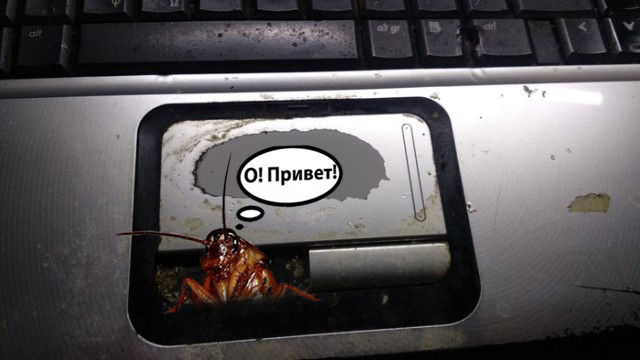 Об уважении