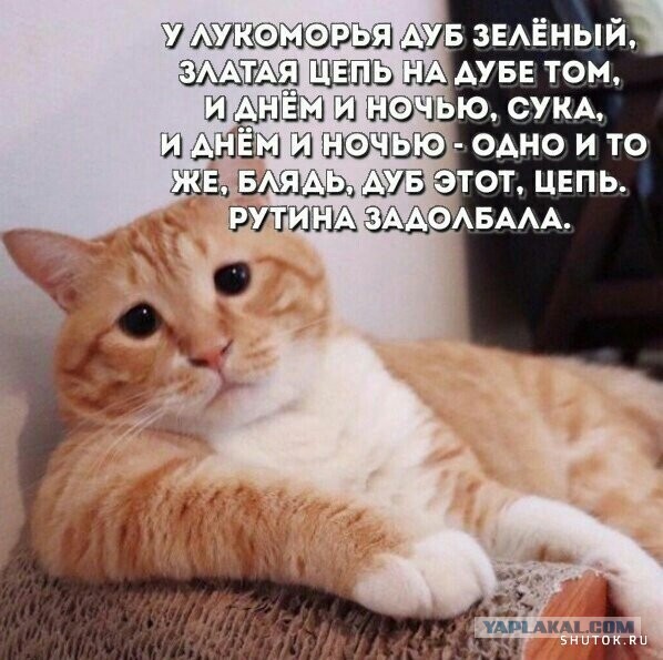 Немного картинок для настроения 28.04.20