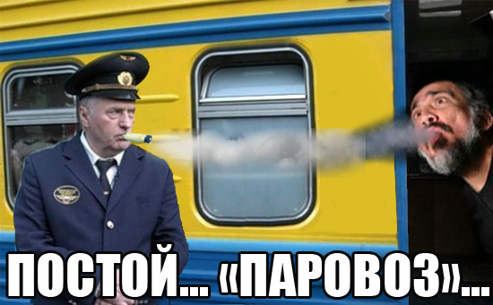 Фотожаба: Жириновский проводник