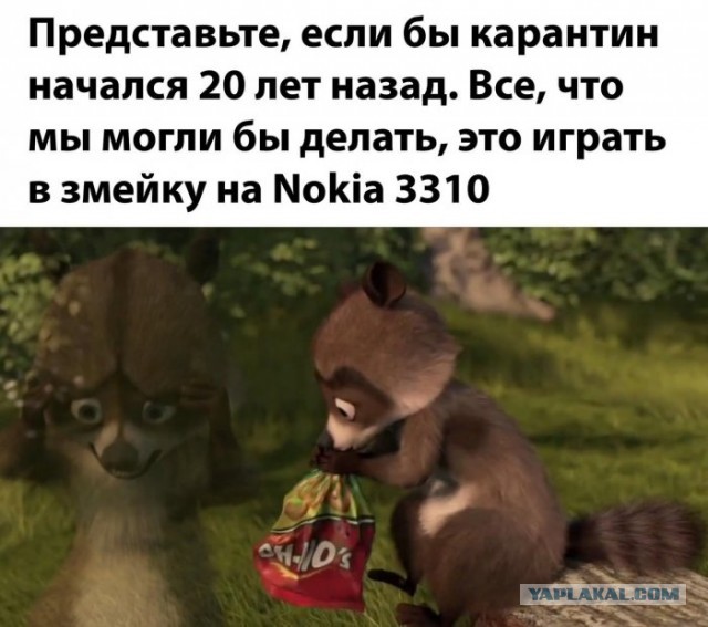 Немного картинок для настроения 13.05.20