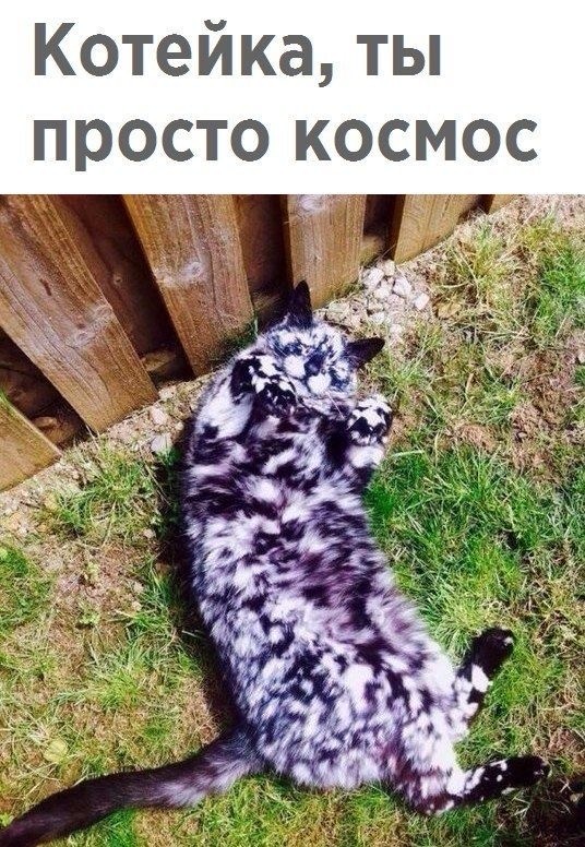 Картинки разные