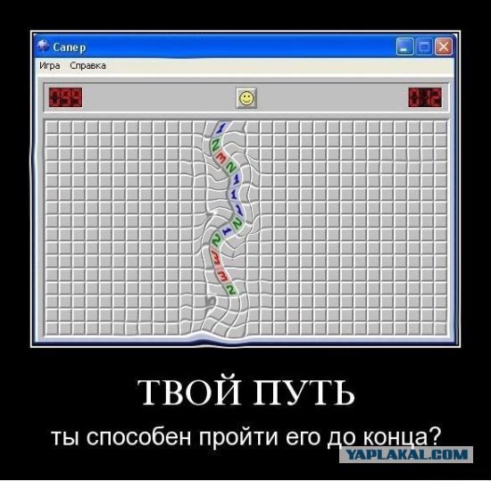 А вы?